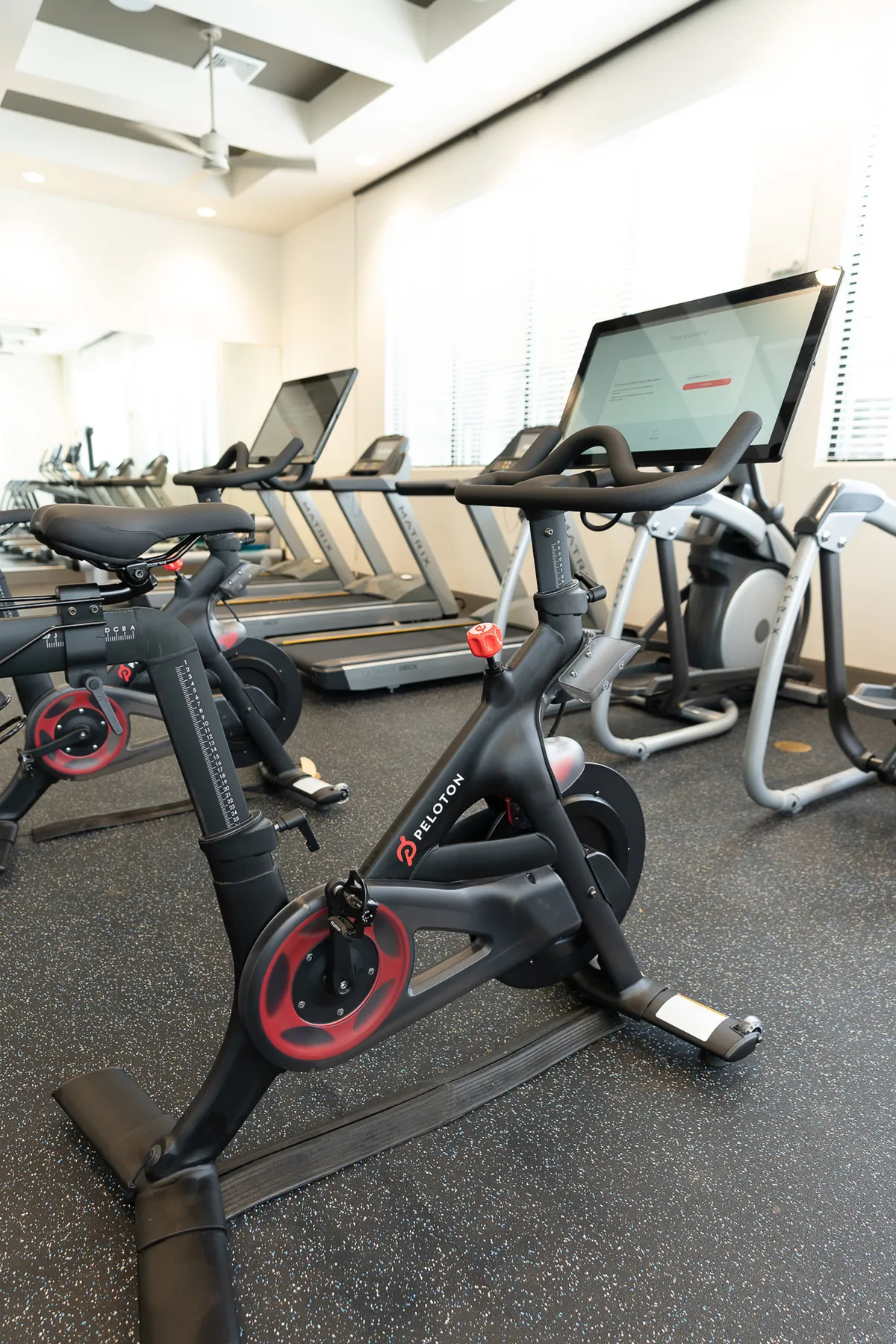 A modern fitness center filled with natural light from large windows, featuring Peloton bikes, treadmills, and a spacious layout. The gym is energetic and state-of-the-art, designed for both individual workouts and group fitness.